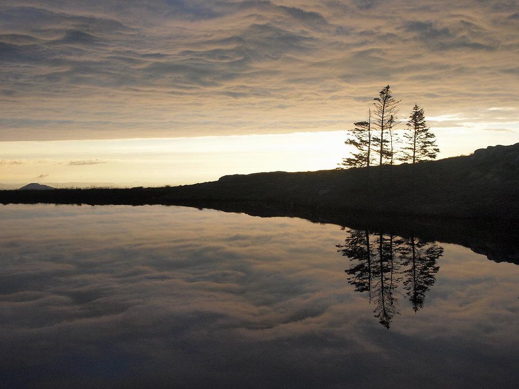 57e195f2a3821_Skyertjernogtrr(P9200825).