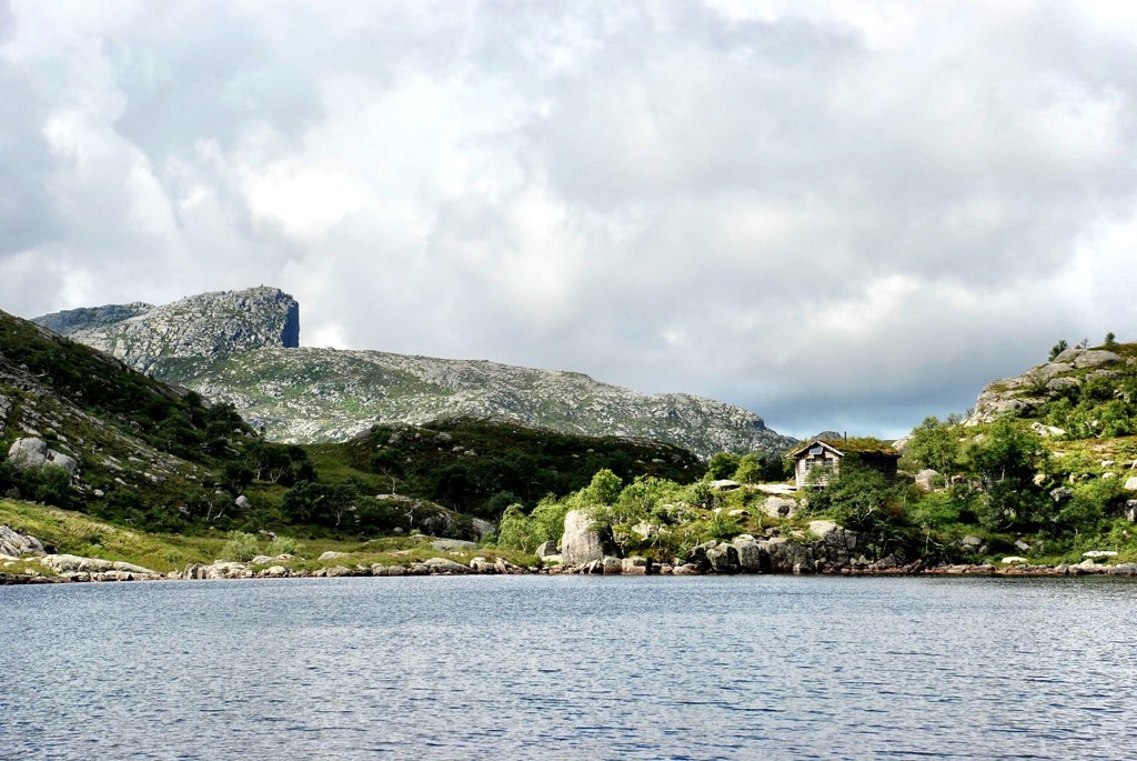 IMG_1547.jpg?resize=1024%2C685