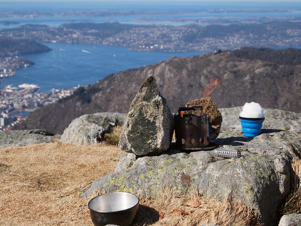 570a7d2be0ff9_PirateBug(P4100547).JPG.8b