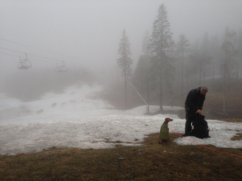 35912BC7-CE07-4BD4-B86B-8F35746827A0_zps