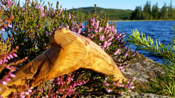 20150813_190753.jpg?w=584