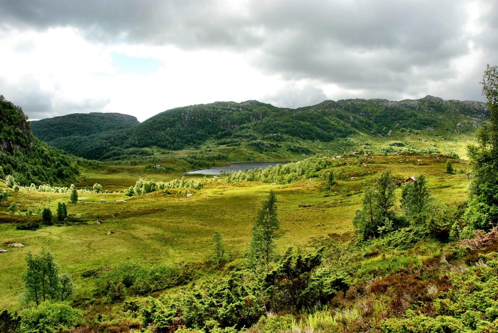 IMG_1545.jpg?resize=1024%2C685