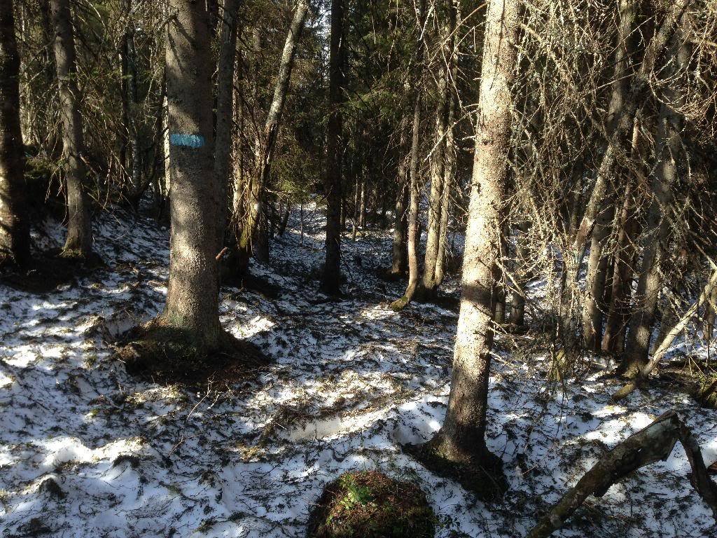 3F4449C0-05BD-400D-A9D1-16669570FD11_zps