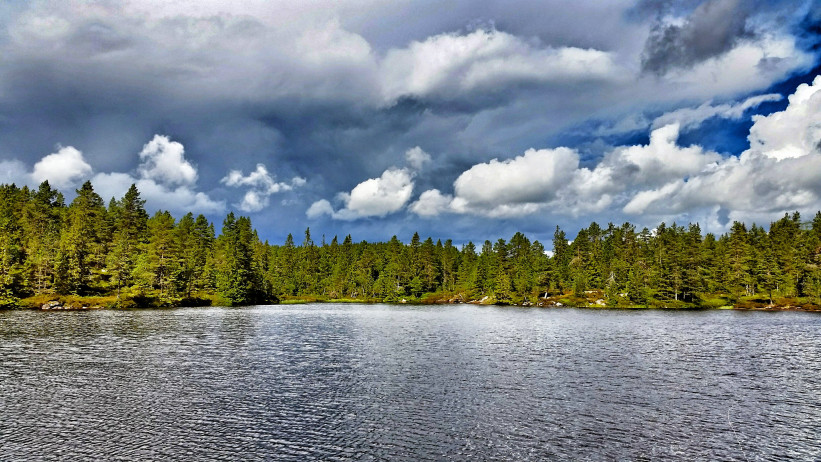 20150802_1237452.jpg?w=821&h=462