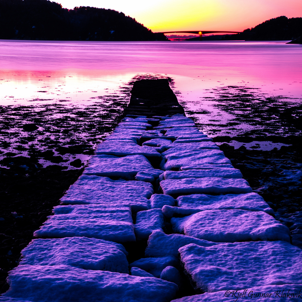 The colours of winter.