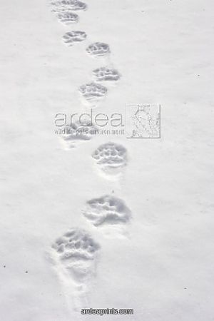 4195479_450_450_0_0_fit_6_7cd5cd7fa5aa31