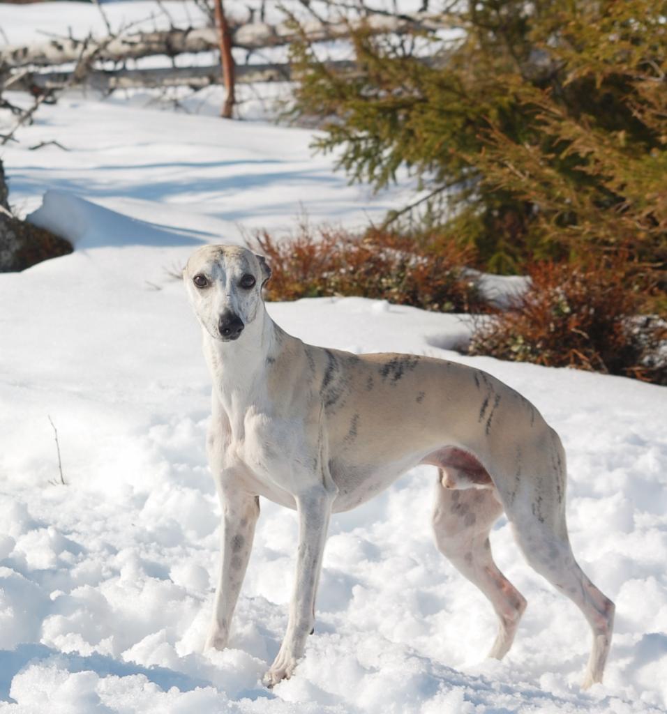 46e50597-5186-437a-a901-7396a5f9e264_zps