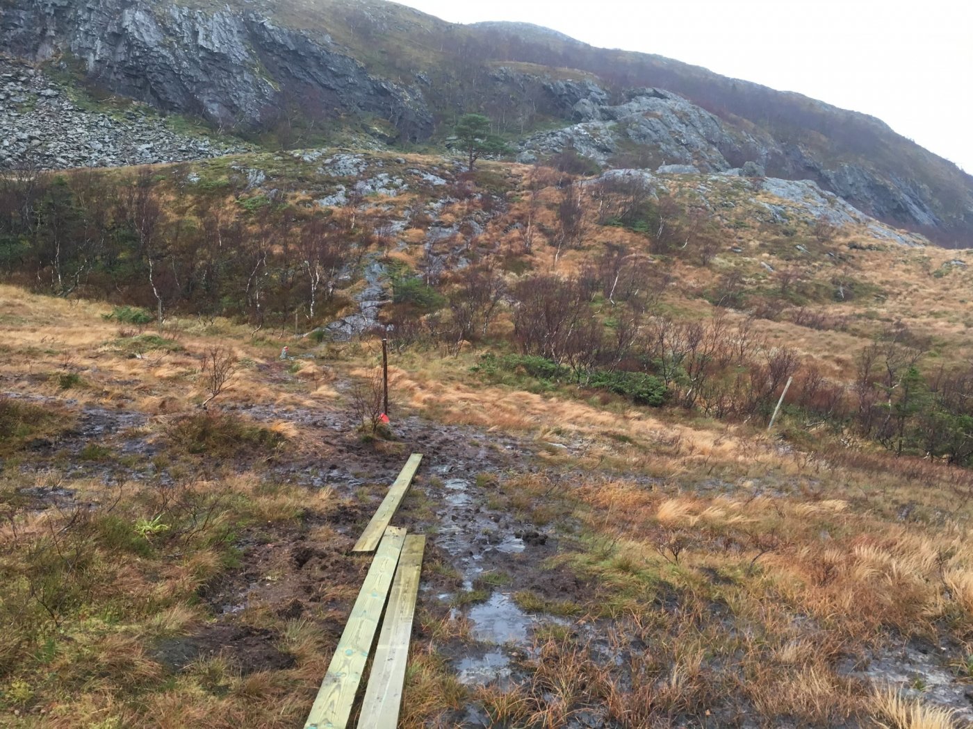 44197863_2173835995993984_75947269236121