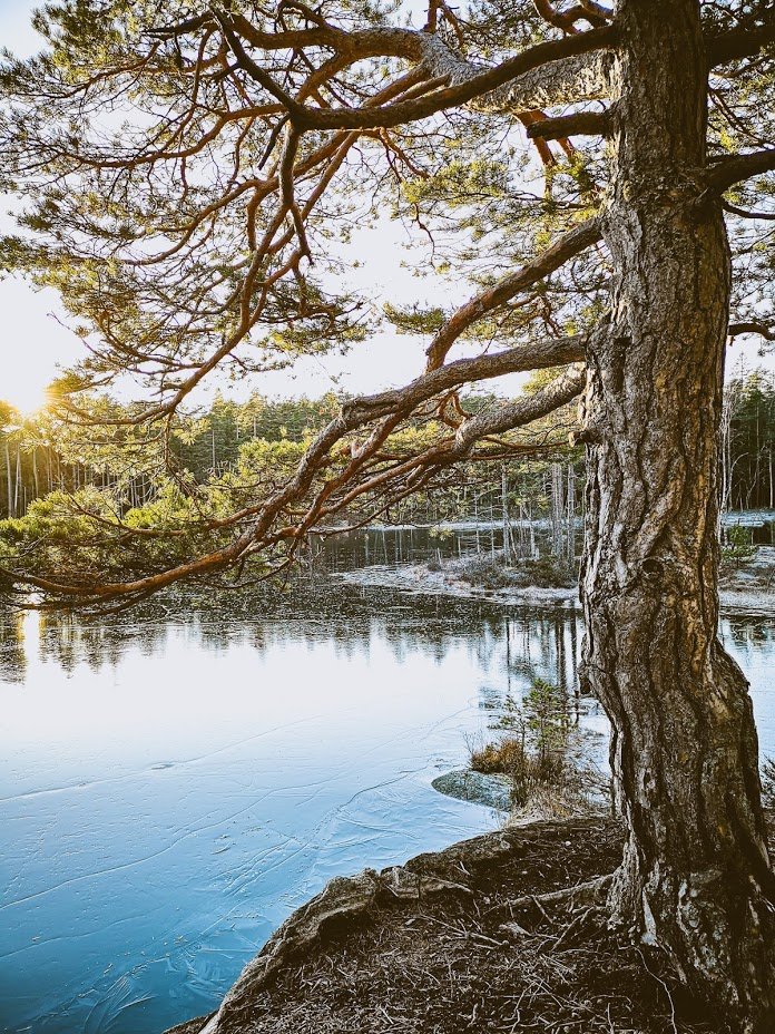 Yfip2NunYCk1LHnOFQsFayF5vNtXbW8D2Ns6Unmb