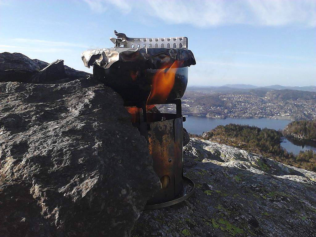 56fc47c8d148b_PirateBugcloseup(IMG_20160