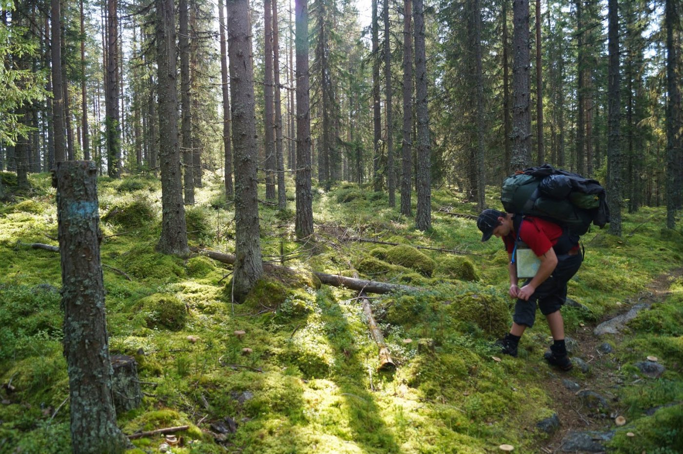 Jotunheimstien%2Bdel%2B2.%2BBrovoll-Lygn