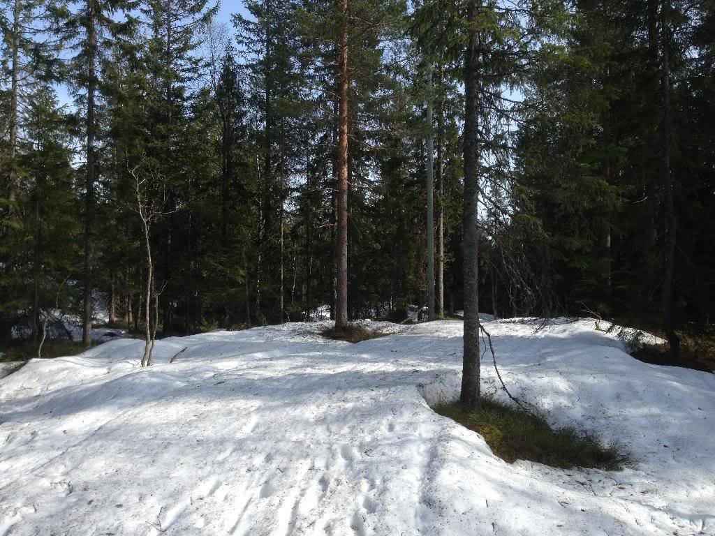 584D21E2-5CDA-4C75-B3D7-161F699FC6D1_zps