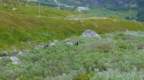 Photo%2525208.%252520juli%2525202012%252