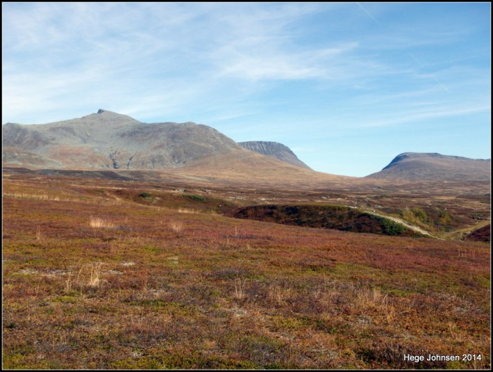 1-bandaklumpen-040.jpg?w=710&h=533