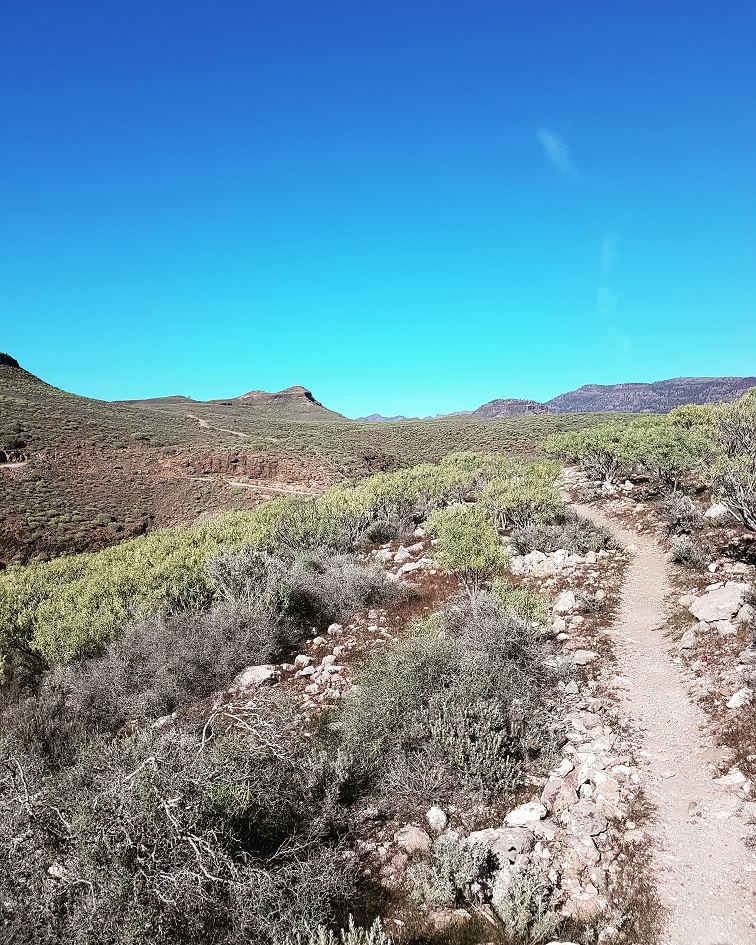 Trail%20to%20Cortadores%20original%2001%