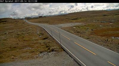 1308217779-V%C3%A6ret-R7%3A-Dyranut-%281