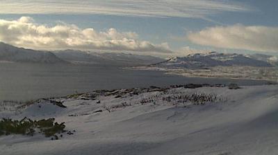 1418487950-V%C3%A6ret-Imingfjellet-Buske