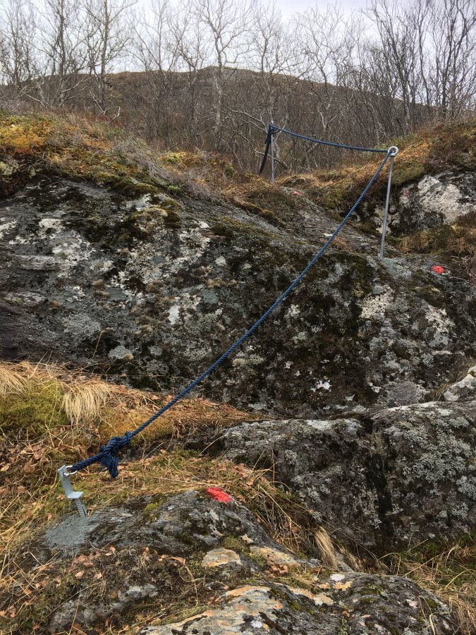 5E6D6D06-C3AA-4469-8375-175B9CB47B28.jpe