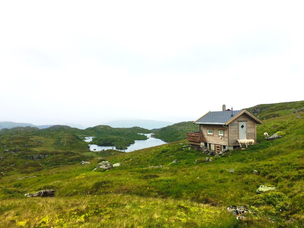 IMG_1666.jpg?resize=1024%2C768