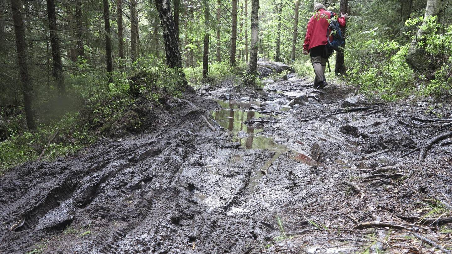 afp000887836.jpg?updated=110620151419