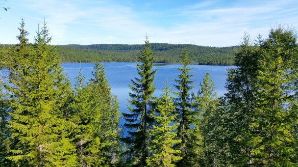 20150814_094937.jpg?w=584