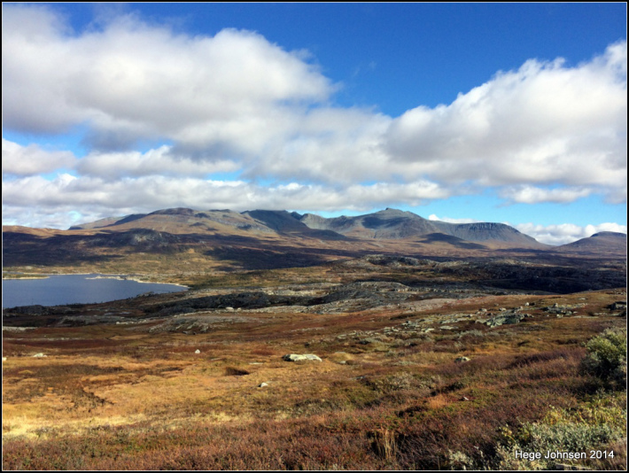 1-iphone-132.jpg?w=710&h=533