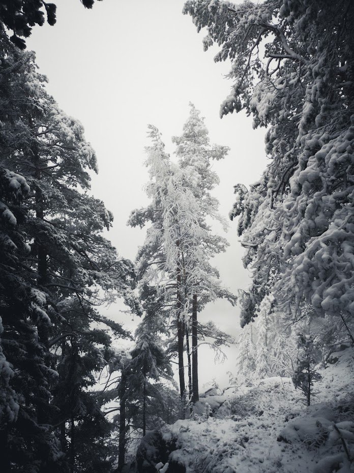 Mj_HcXyBLAxAsUDdMcgGWwtRSTR6dFHwBk5xuHjv