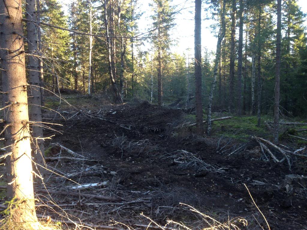 713AE7A3-A4D7-4A79-8FAB-9187713F0FBD_zps