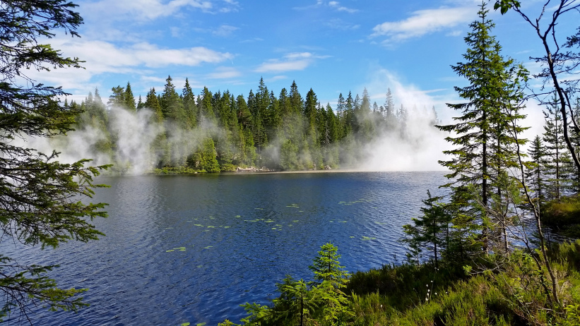 20150801_111005.jpg?w=821&h=462