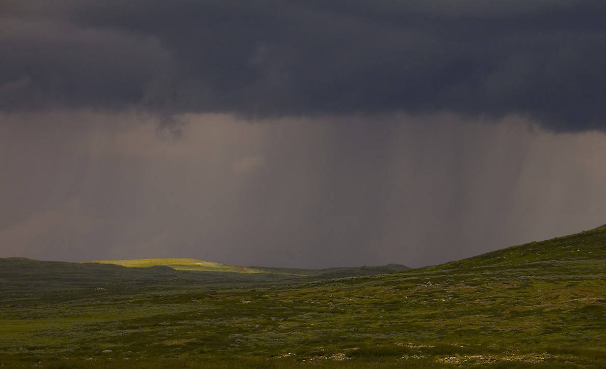 868122_large_50300890-E33C-11E3-A1A2-E61