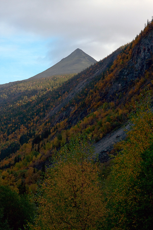 881937_large_AAD97AC6-E344-11E3-A1A2-E61