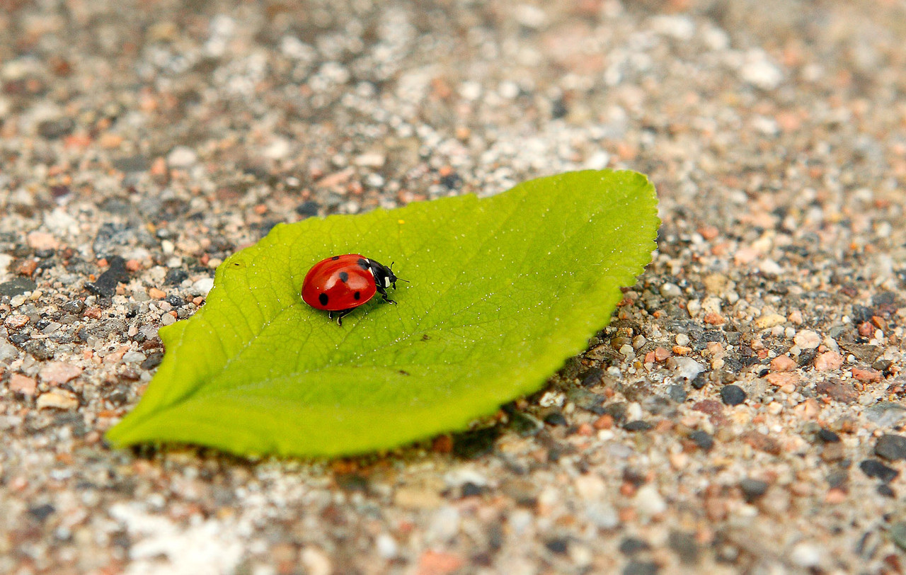 934756_large_A4BB50C4-E371-11E3-A1A2-E61