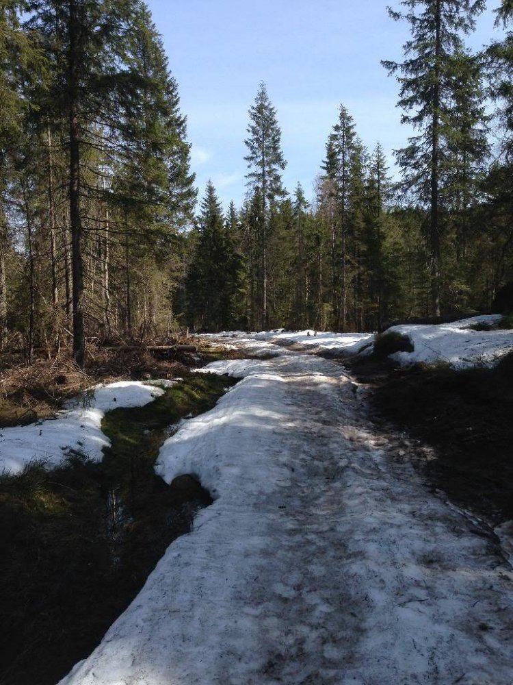 99CC8C09-7ADC-451A-83F7-7021D7555A0C_zps