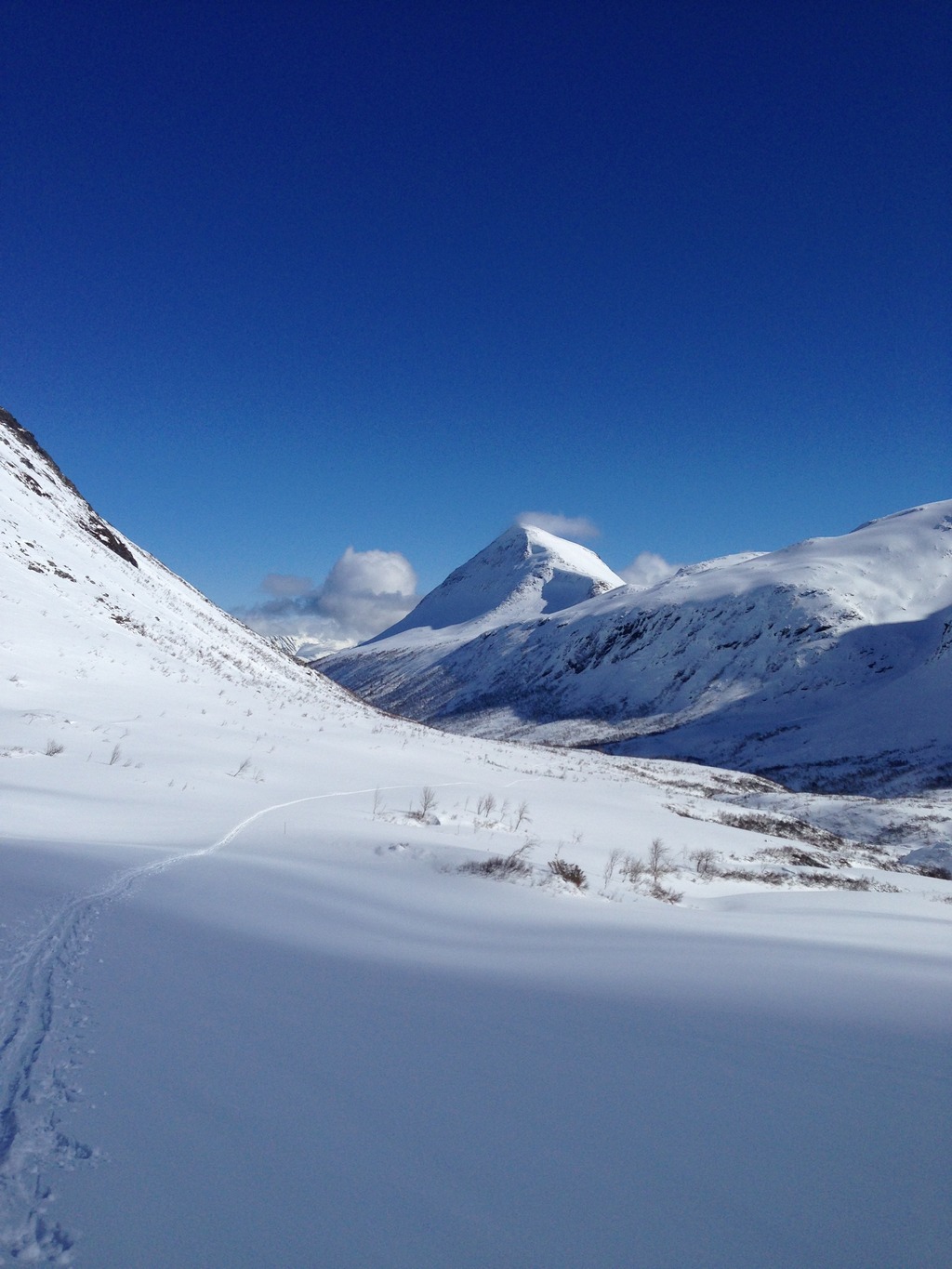 9F01B79D-0A73-4C94-82FC-9D10926070D9_zps