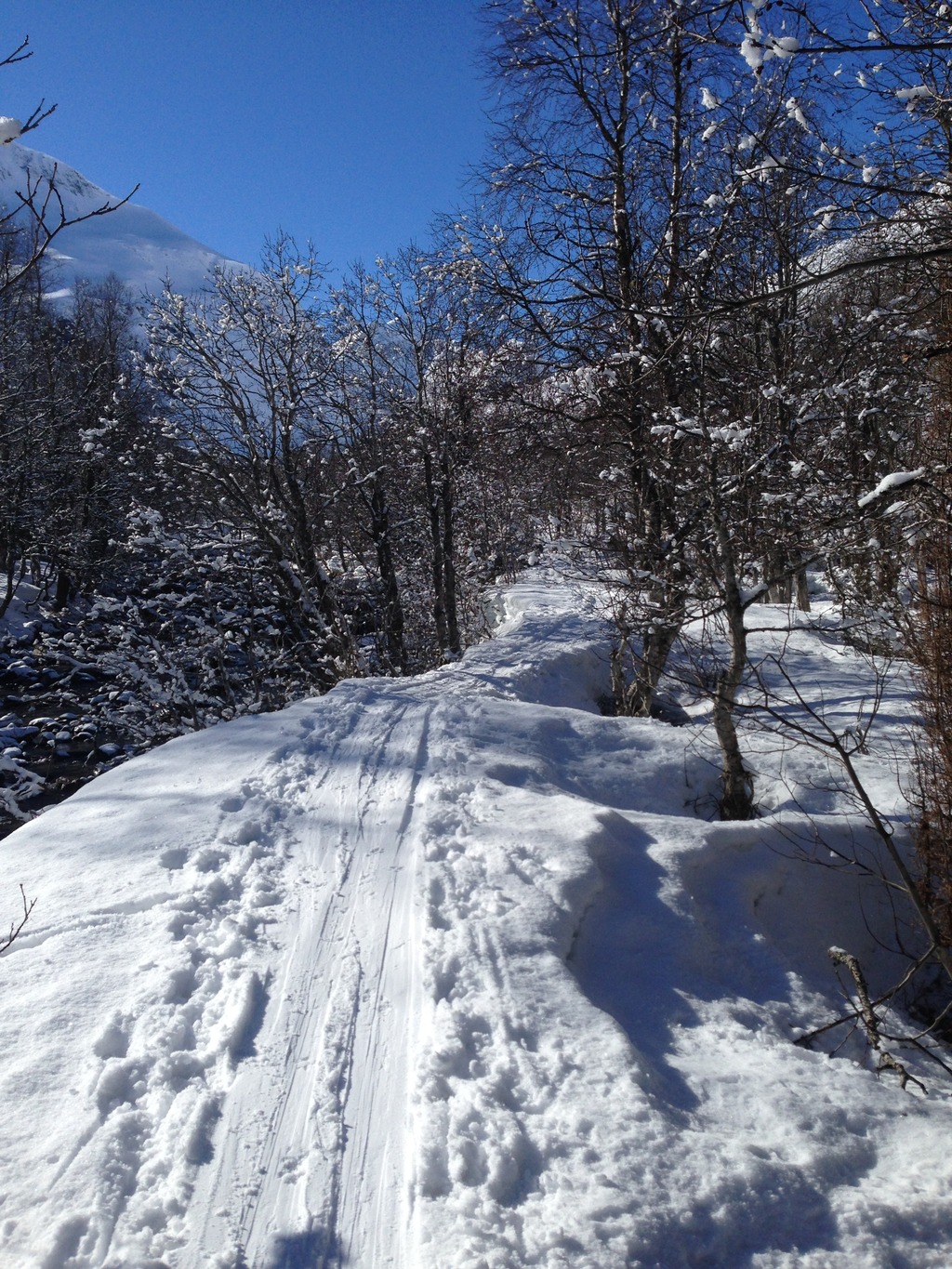 9F650689-F3EB-472B-9C2D-DD9F10974525_zps