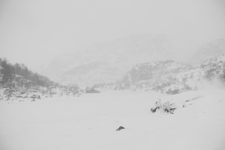 DSC00543-1.jpg?resize=768,512