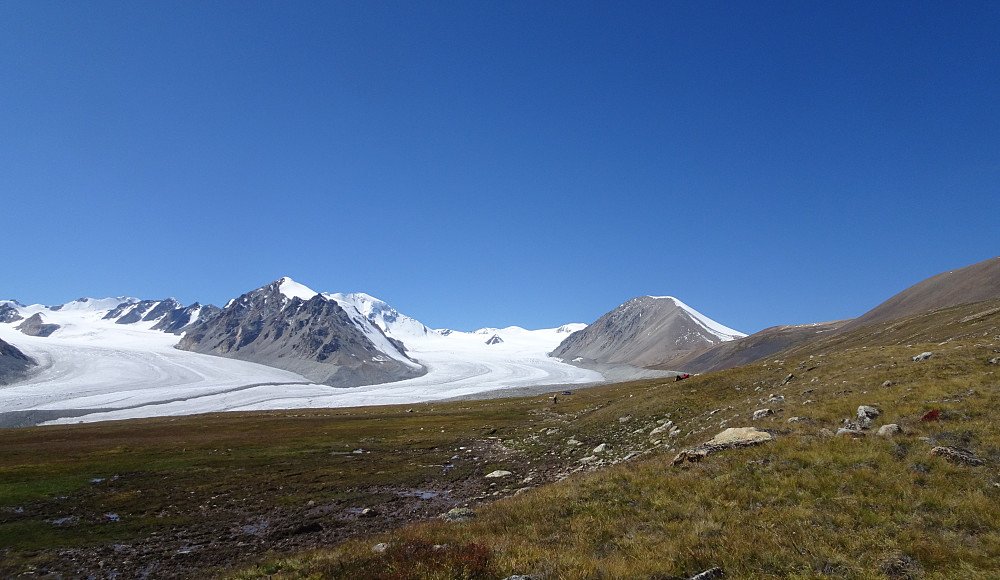 Snilen_20190910_5d7791dedad0c.jpg?p=larg