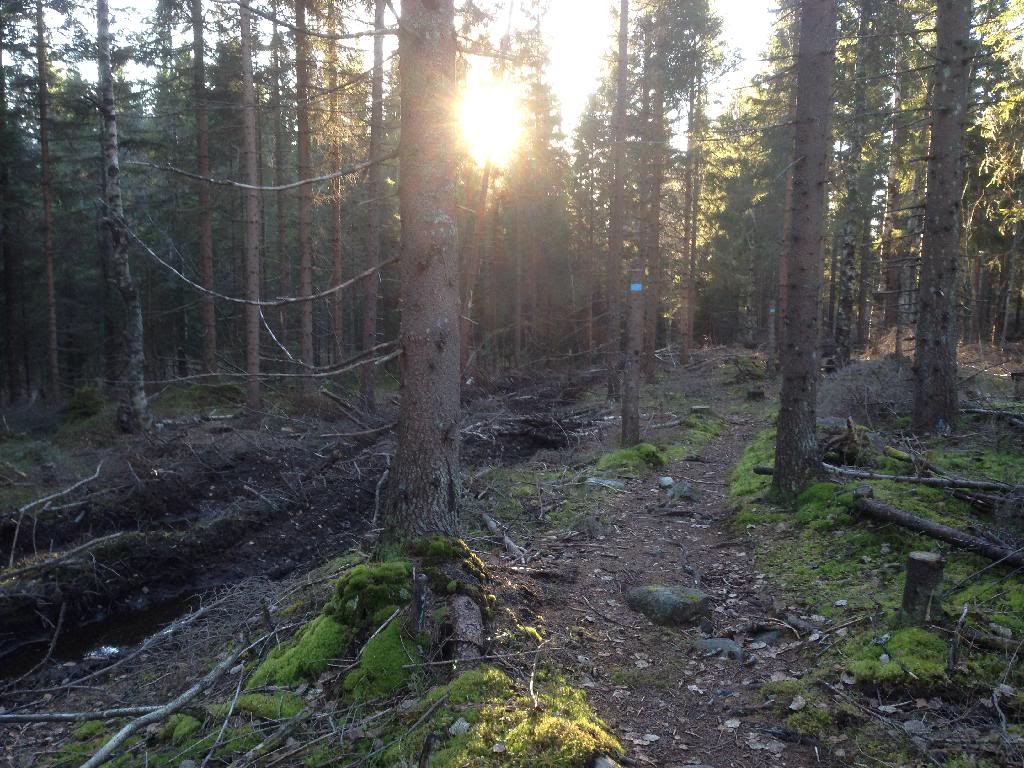 A4E99275-380E-420C-B77B-EC32E8ABF260_zps