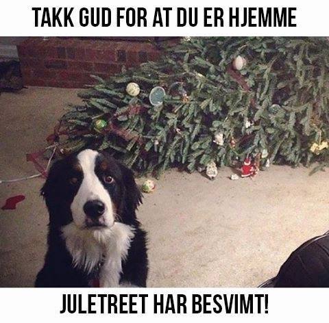 A54C9430-2119-419A-A0DD-820873A857FA.jpe