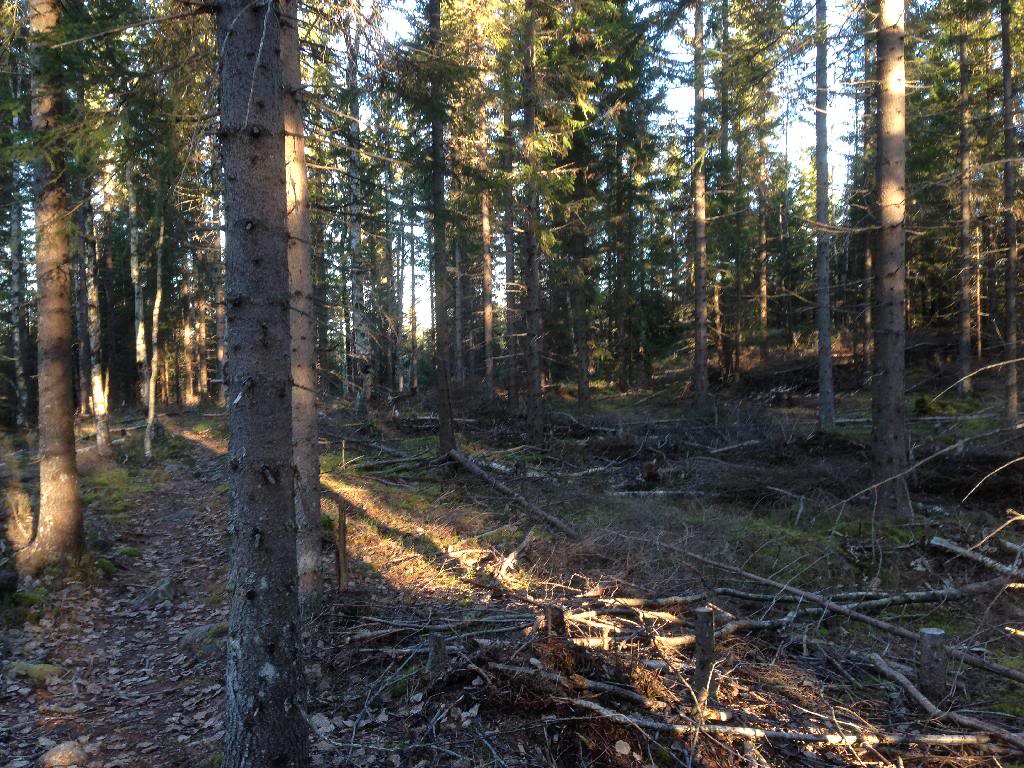 B09BAC5A-7568-4F63-A79D-45FAE98732E1_zps