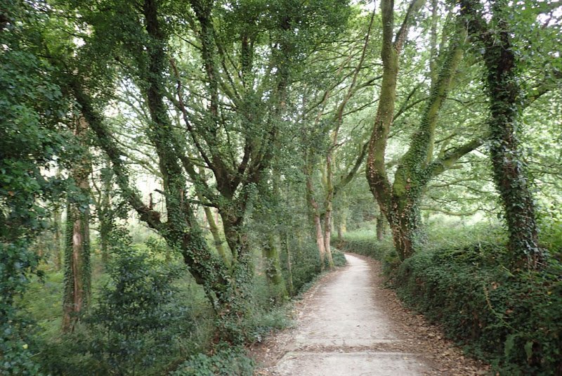 CaminoFinisterre_Day16_05_Scenic_Camino_