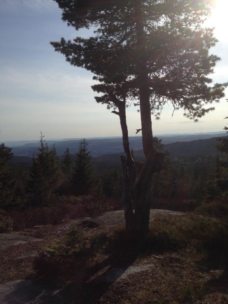 DD2DA36F-320D-42D3-913A-E81E1D89F048_zps