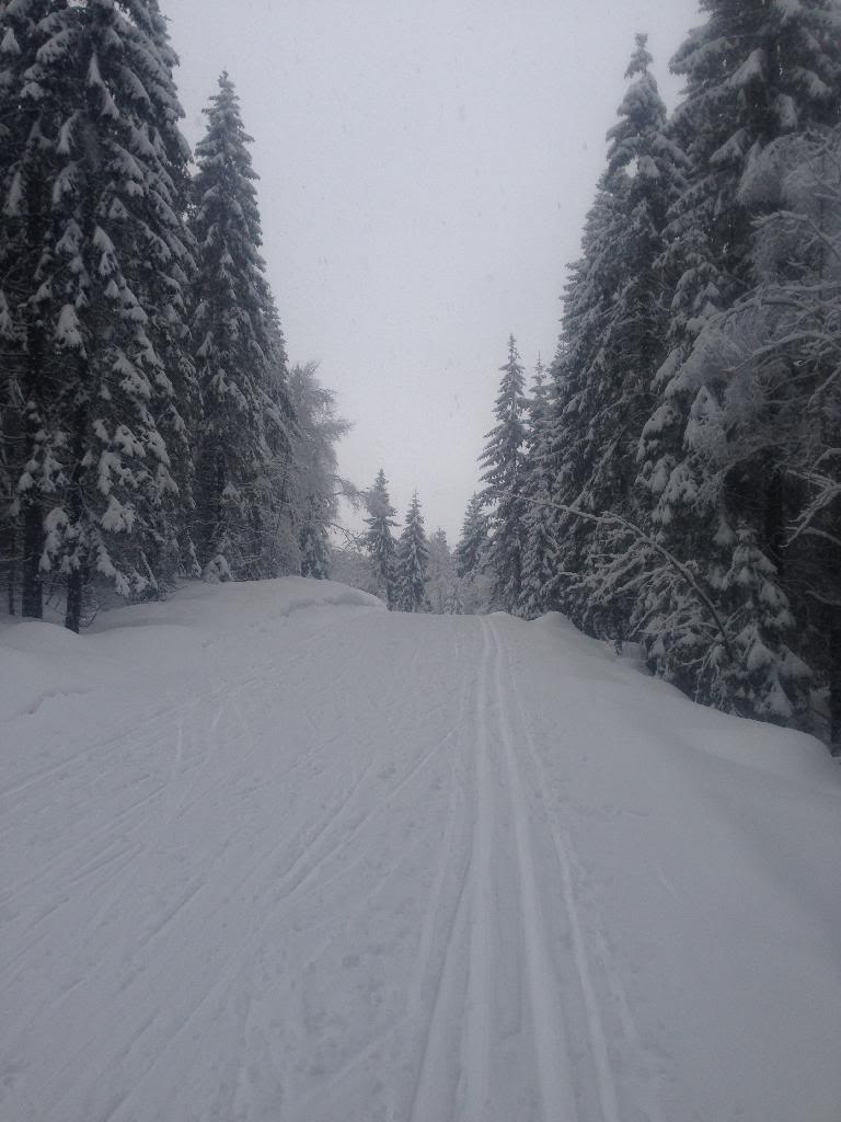 E8C03DE2-ED40-41DE-889F-CE403079428A_zps