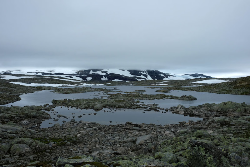 Massiv_Day07_05_Grey_border_between_land