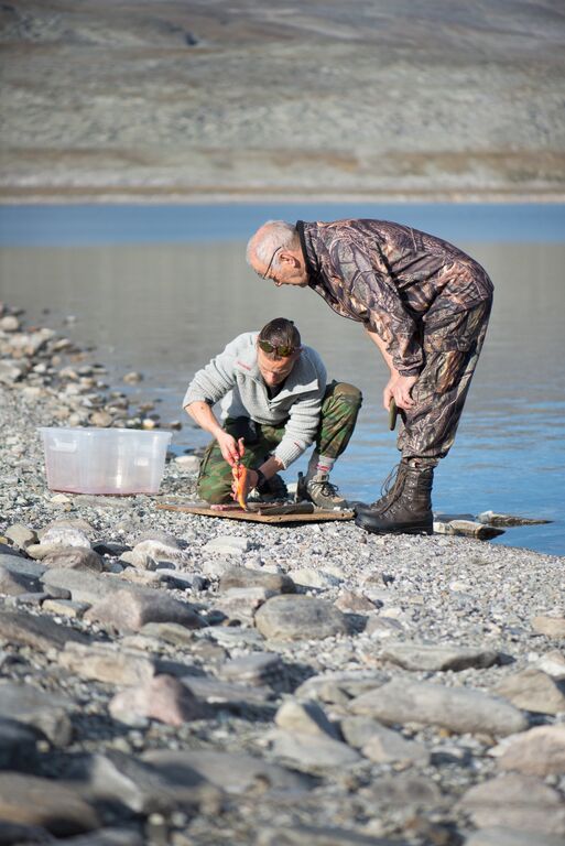 RV4D61FBgoEMjZJI01B8XzdefIDWxSrqKjRO1THE