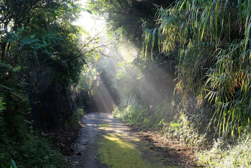 ShikokuHenro_Day20_01_Filtered_illuminat