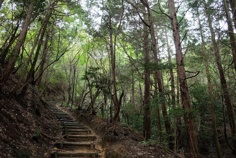 ShikokuHenro_Day33_10_A_staircase_in_the