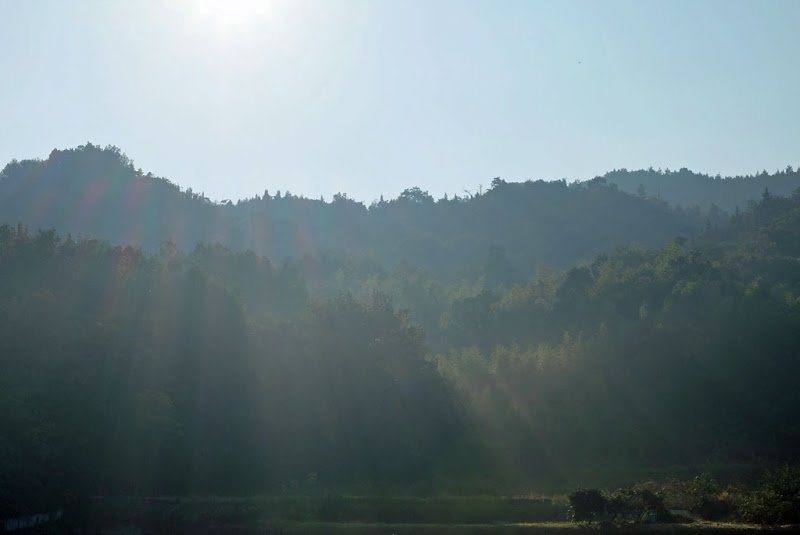 ShikokuHenro_Day44_02_Morning_sunrays.jp