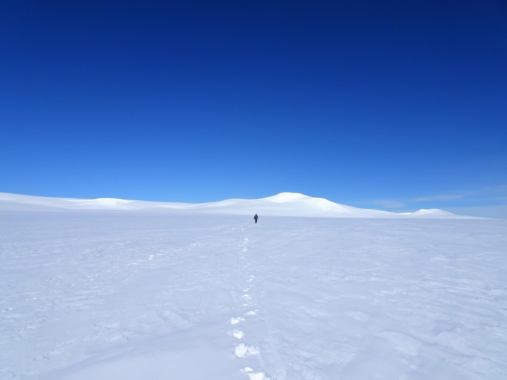 Lang og seig vandring over sletta fra Sveinstindur mot 1820-kulen