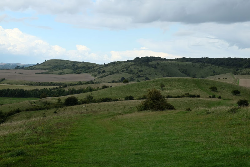 TheRidgeway_Day06_08_Pitstone_Hill.jpg